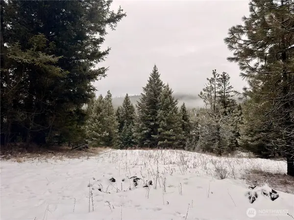 25 Miner's Ridge Road, Oroville, WA 98844