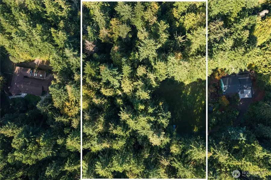 15630 Agatewood Road Ne, Bainbridge Island, WA 98110 - Image #3