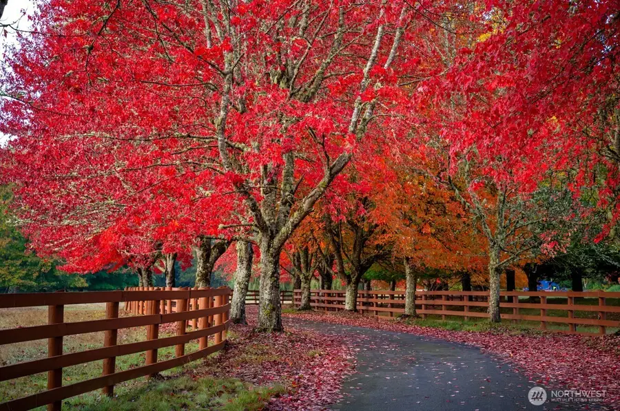 8100 428th Avenue Se, Snoqualmie, WA 98065 - Image #2