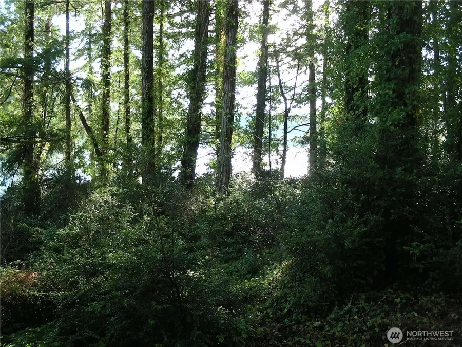 0 E Murray Road S #4, Grapeview, WA 98546 - Image #2