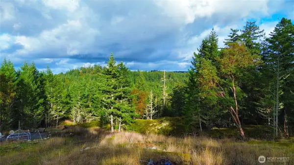 705 Mt Dallas Road, Friday Harbor, WA 98250