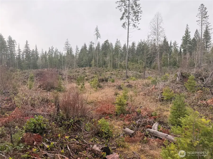 10 E Shetland Road, Shelton, WA 98584 - Image #2