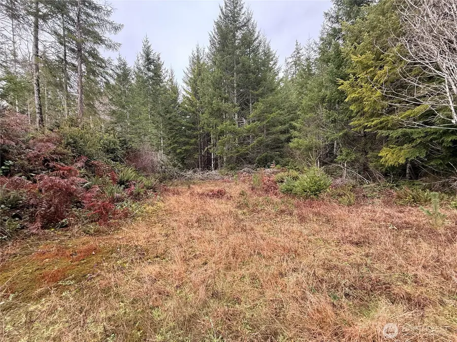 10 E Shetland Road, Shelton, WA 98584 - Image #3