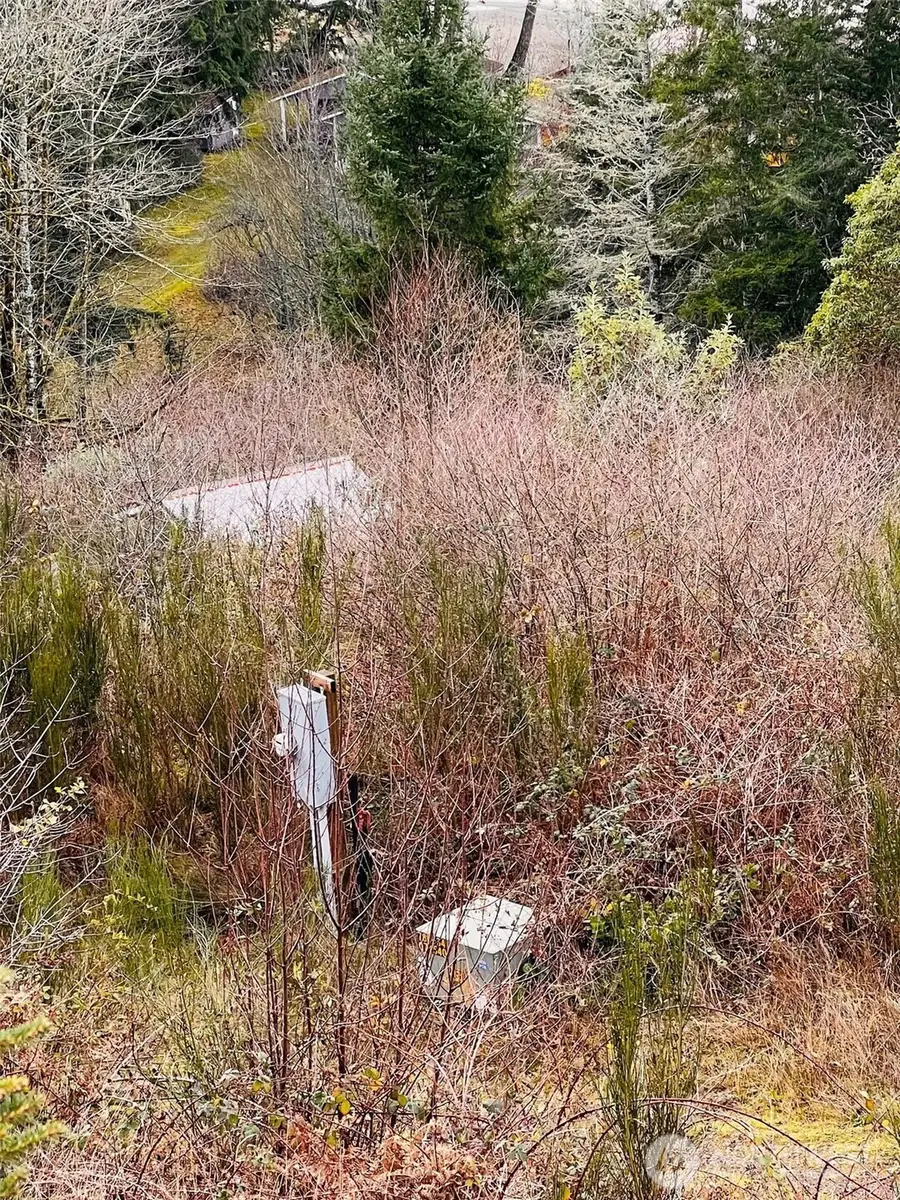 3841 E State Route 302 #Lot 2 of SP2753, Belfair, WA 98528 - Image #3