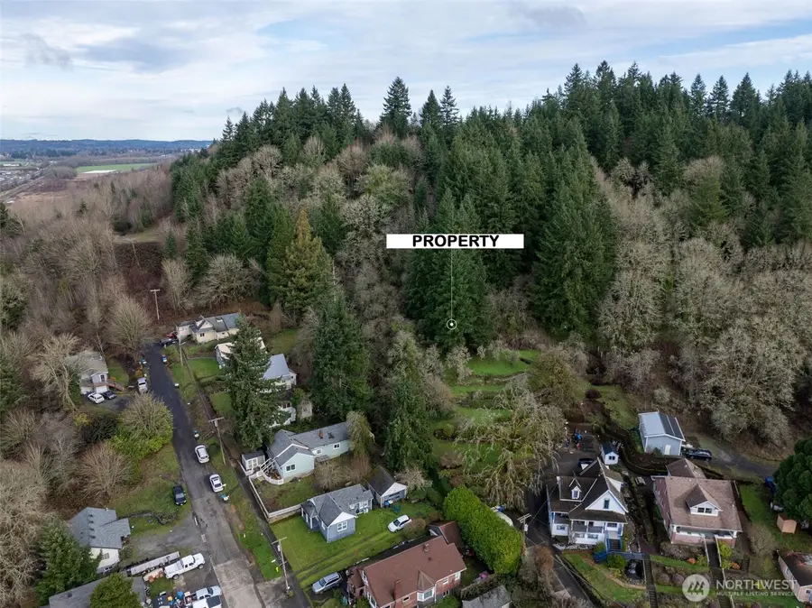0 NE Franklin Avenue, Chehalis, WA 98532 - Image #2