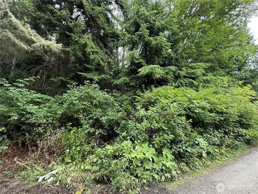 0 Hill Street #2,3,&4, Port Ludlow, WA 98365 - #2
