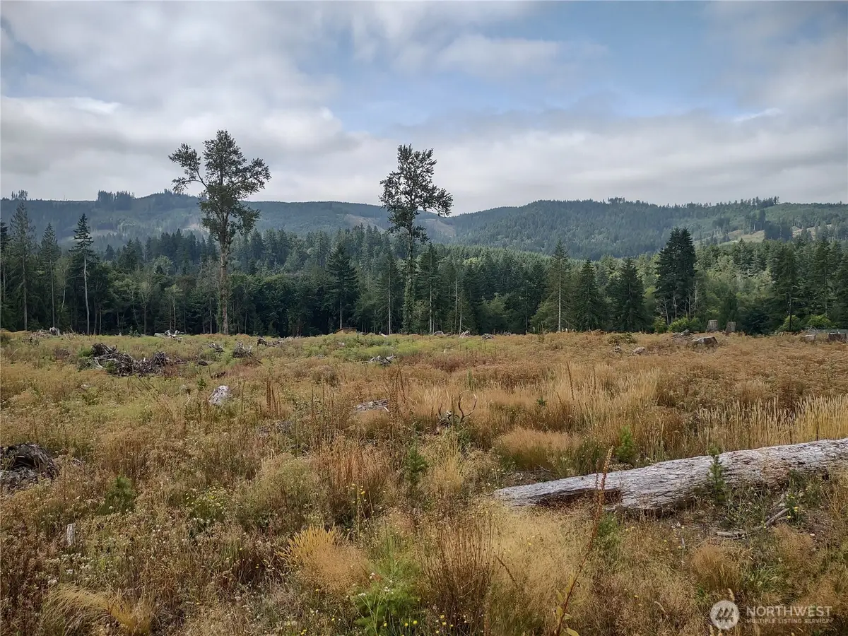 0 Summit Lake Road, Olympia, WA 98502 - Image #1