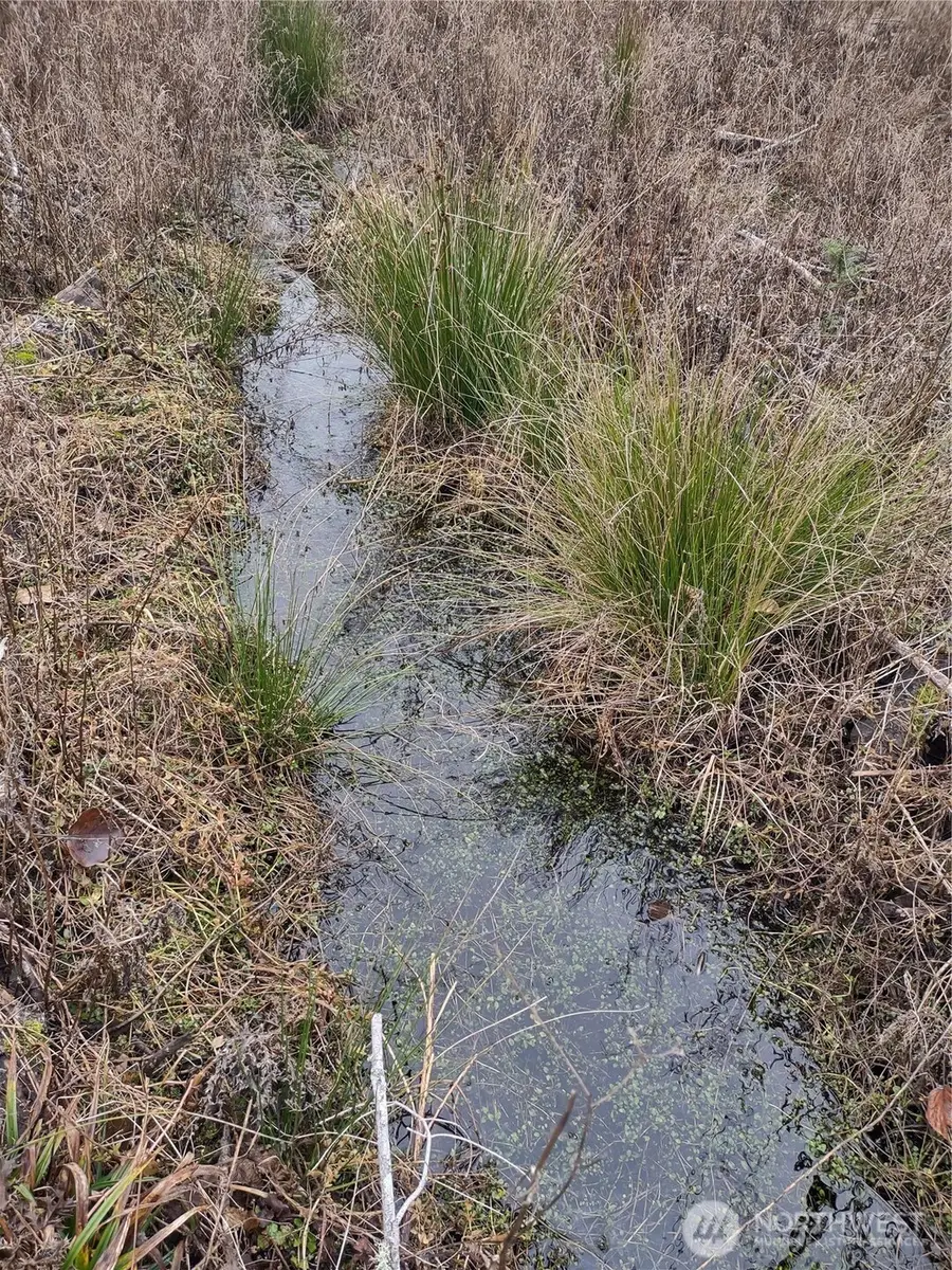 0 Summit Lake Road, Olympia, WA 98502 - Image #3