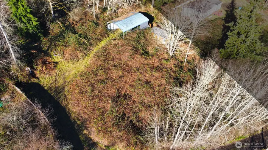 31822 Orville Road E, Graham, WA 98338 - Image #3