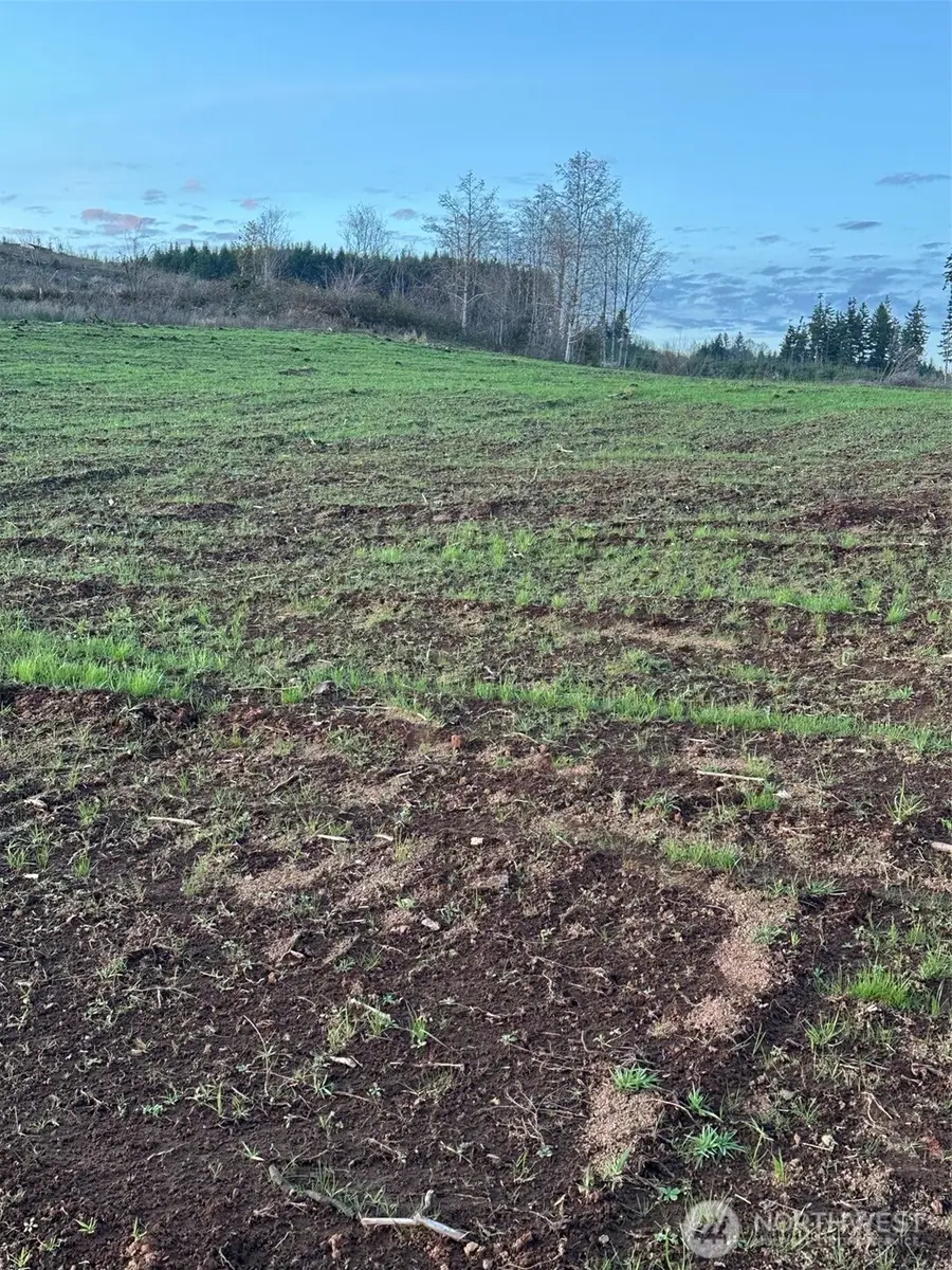 242 Suncrest Drive #3, Castle Rock, WA 98611 - Image #2