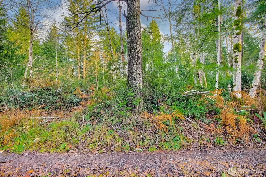 1 E Jared Road #1, Shelton, WA 98584 - Image #2