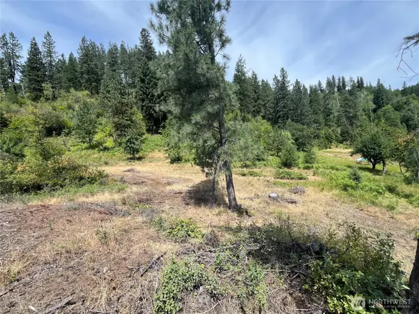 0 Mitchell Road, Northport, WA 99157