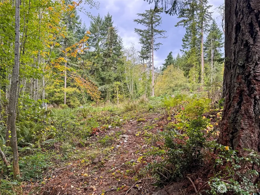 4700 Rose Avenue Ne, Bainbridge Island, WA 98110 - Image #2