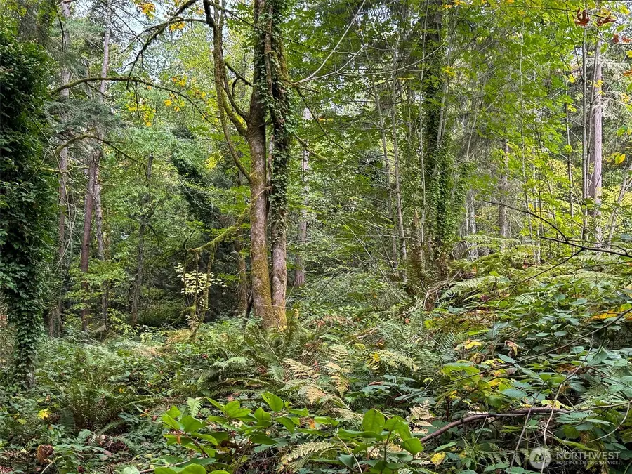 4700 Rose Avenue Ne, Bainbridge Island, WA 98110 - Image #3