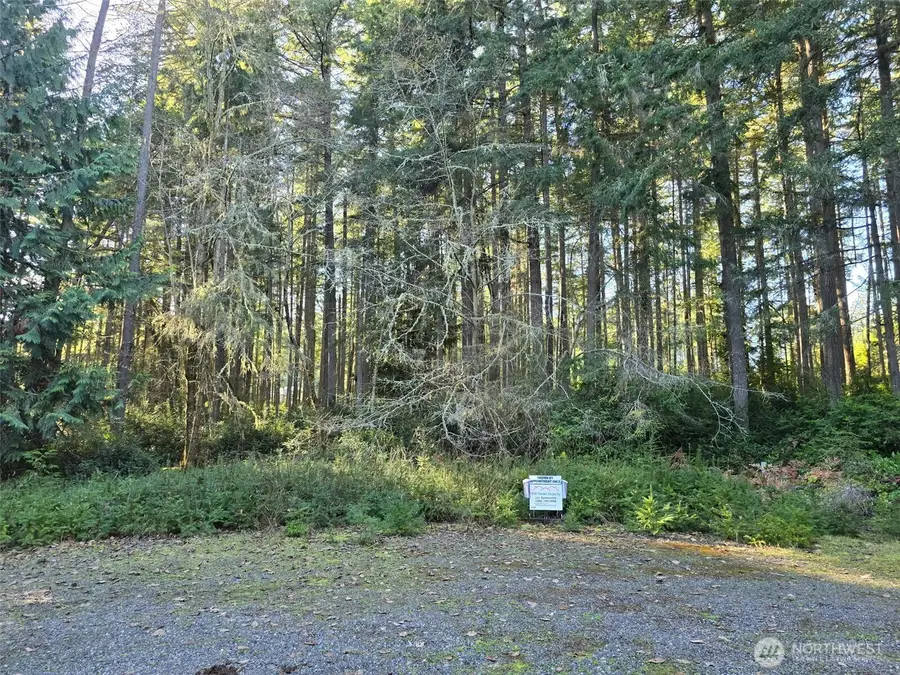 11620 Mill Place, Anderson Island, WA 98303 - Image #2