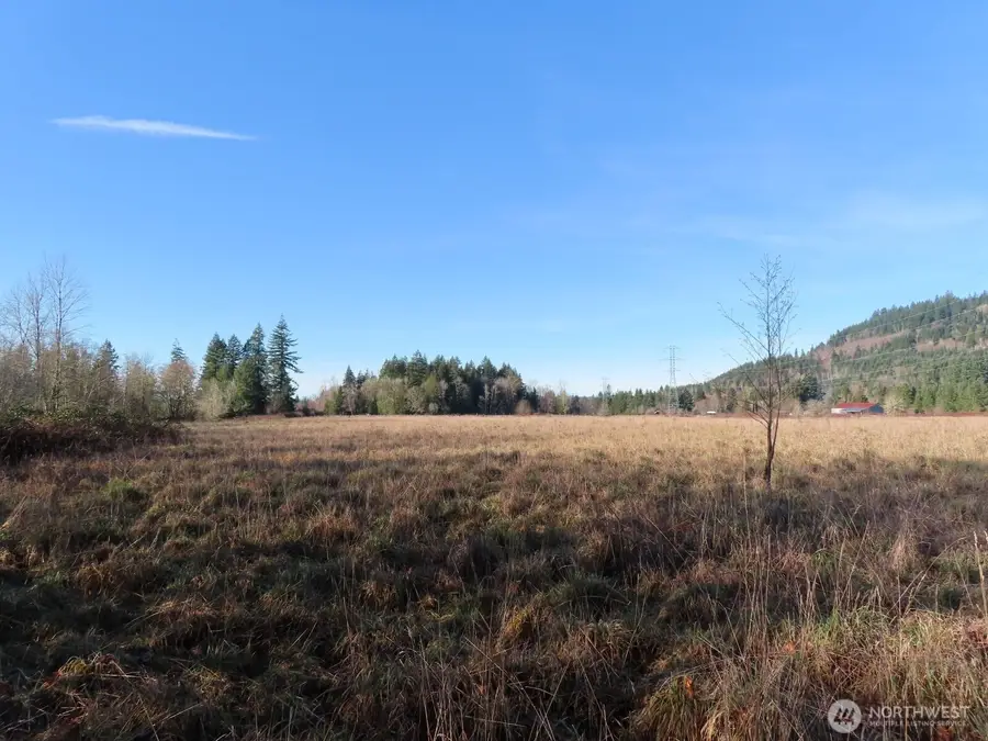 0 Larson Road, Mossyrock, WA 98564 - #2