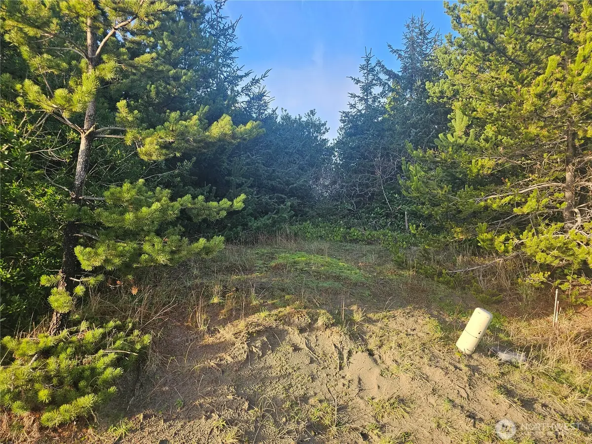 276 S Wynoochee Drive Sw #343, Ocean Shores, WA 98569 - Image #1