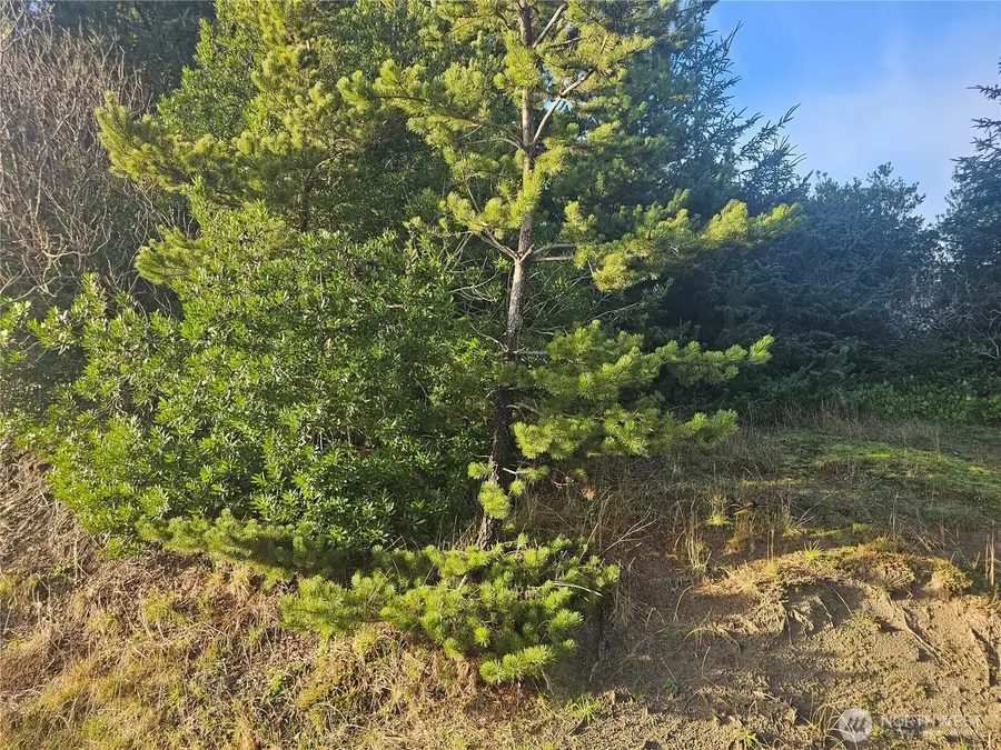 276 S Wynoochee Drive Sw #343, Ocean Shores, WA 98569 - Image #2