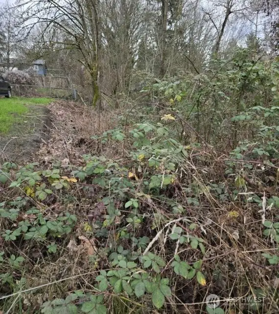 8027 S Yakima Avenue, Tacoma, WA 98408 - Image #3