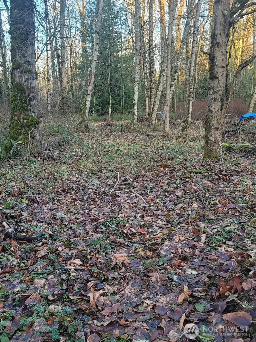 35750 Military Road S, Auburn, WA 98001 - Image #3