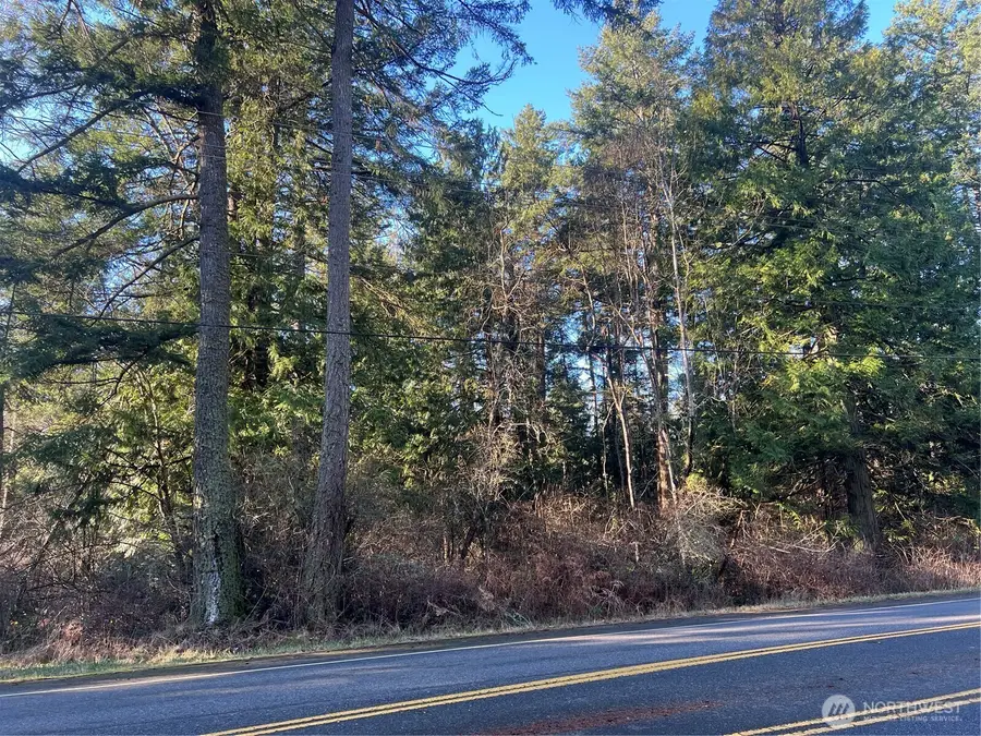 0 Tyee Drive, Point Roberts, WA 98281 - Image #3