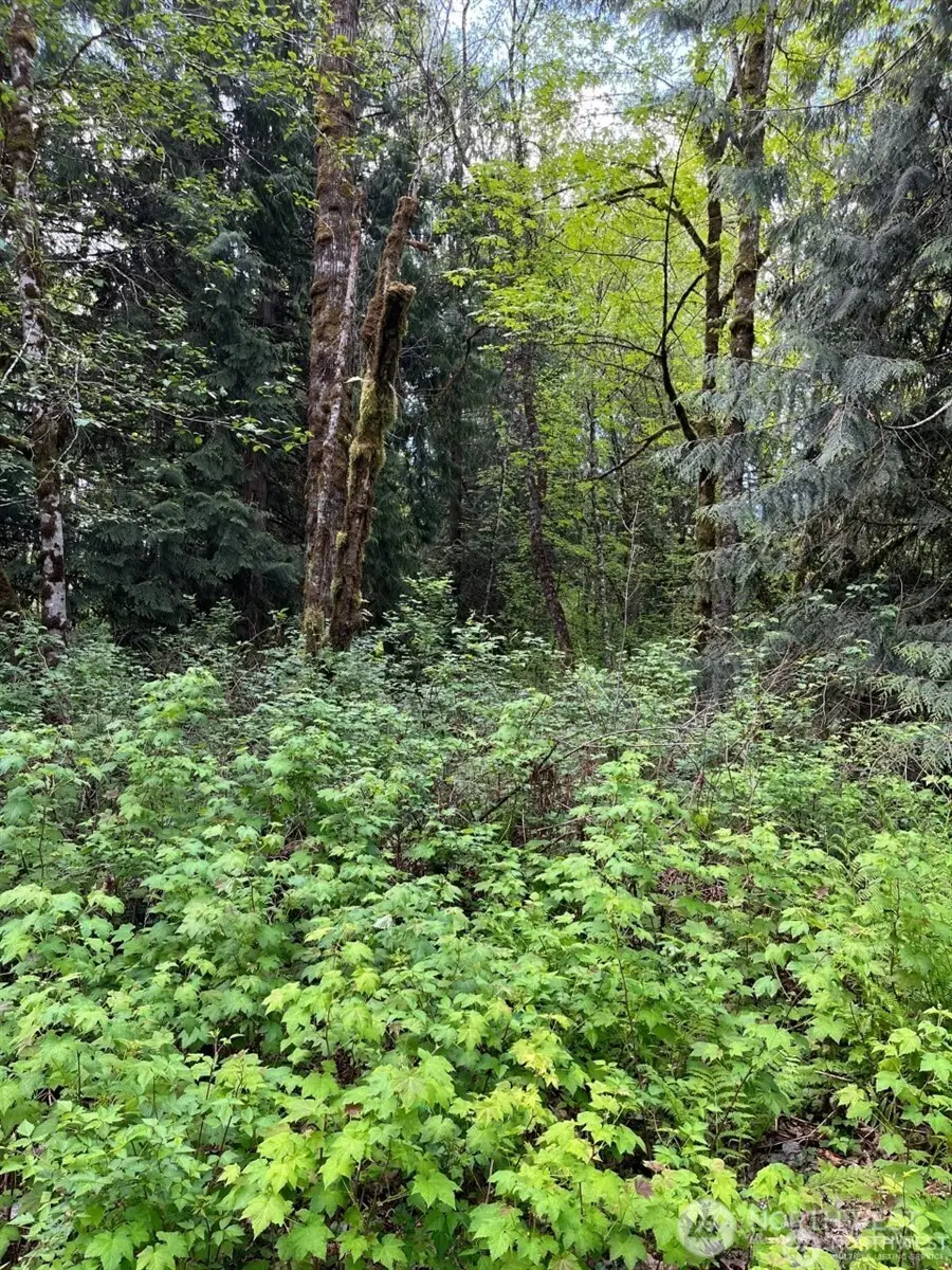 13420 74th Street Ne, Lake Stevens, WA 98258 - Image #1