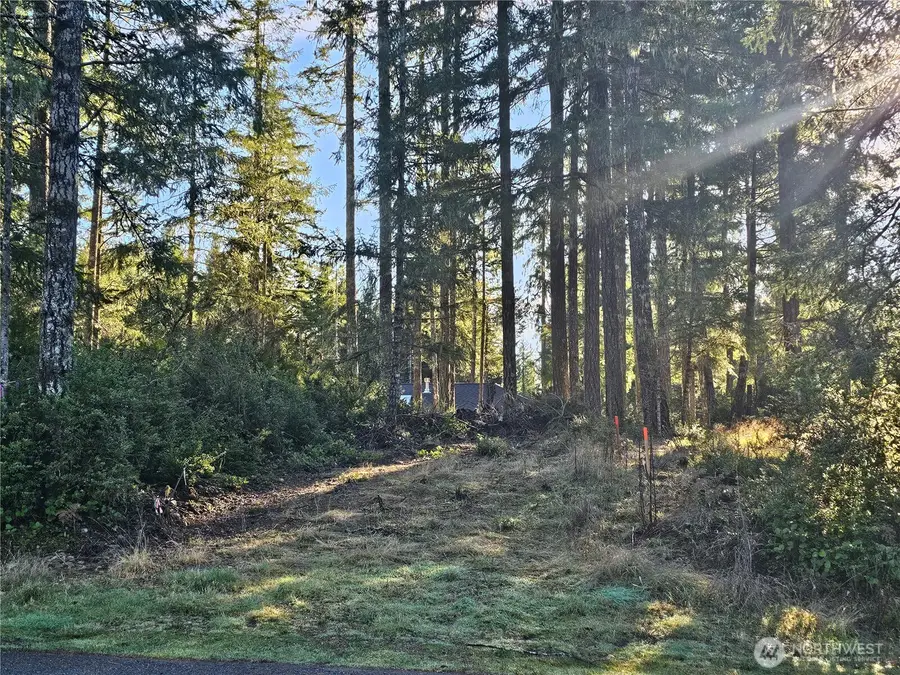 1190 E Manzanita Drive #39, Union, WA 98592 - Image #2