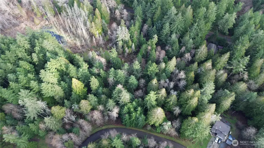 12719 & 12723 96th Street Ct #105 & 106, Anderson Island, WA 98303 - Image #2