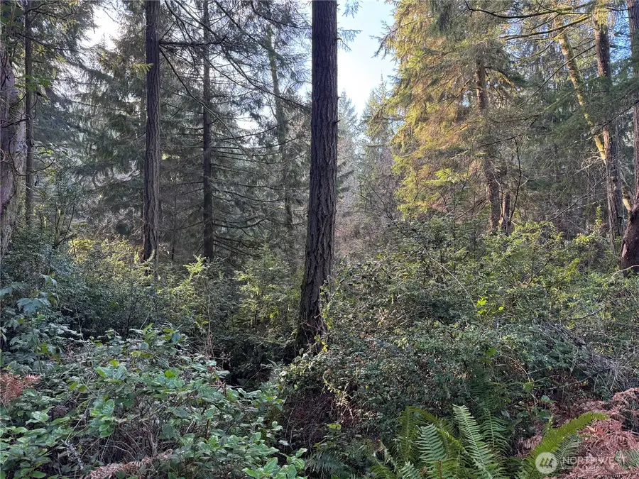 9606 Otso Point Road #34, Anderson Island, WA 98303 - Image #3