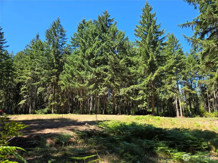 19205 30th Street Sw #2, Lakebay, WA 98349 - Image #3