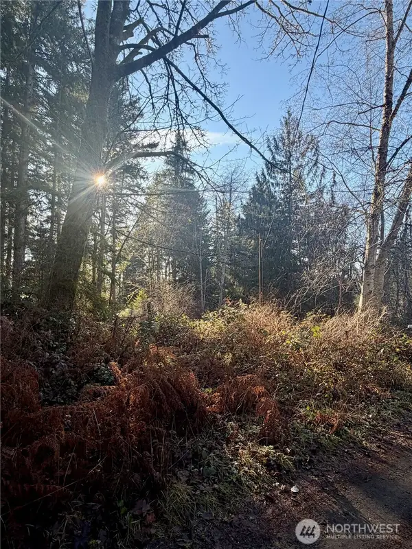 51 Fox Road, Quilcene, WA 98376