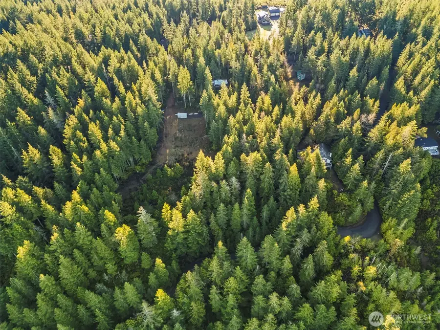 1123 E Timber Tides Drive, Union, WA 98592 - Image #3