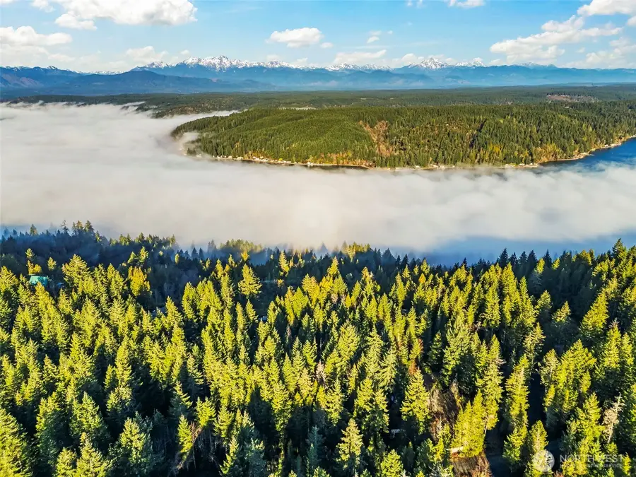 1133 E Timber Tides Drive, Union, WA 98592 - Image #3