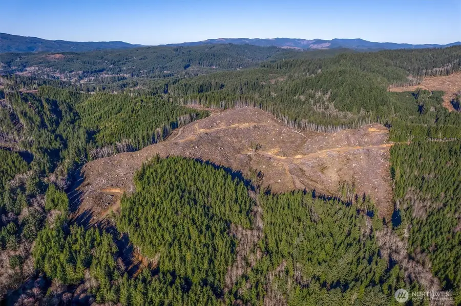 0 West Deep River Road, Naselle, WA 98638 - #3