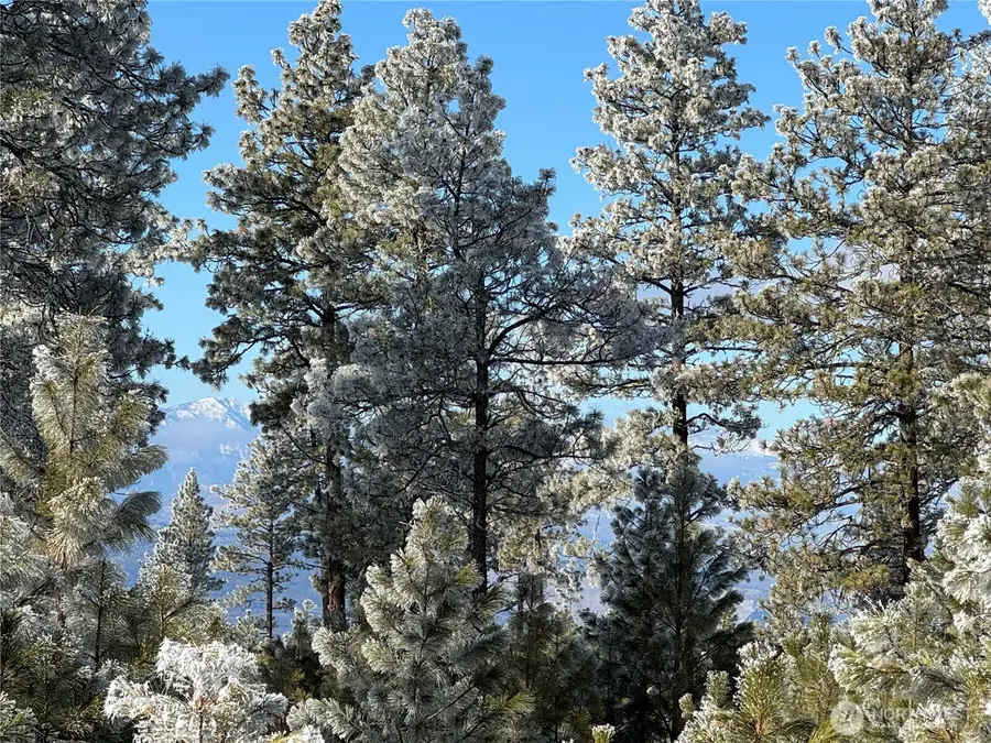 0 Tbd Cartwright Drive #Lot 1, Tonasket, WA 98855 - Image #2