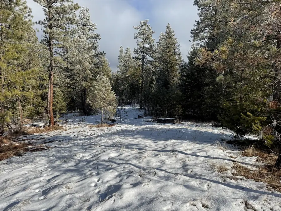 0 Tbd Cartwright Drive #Lot 1, Tonasket, WA 98855 - Image #3