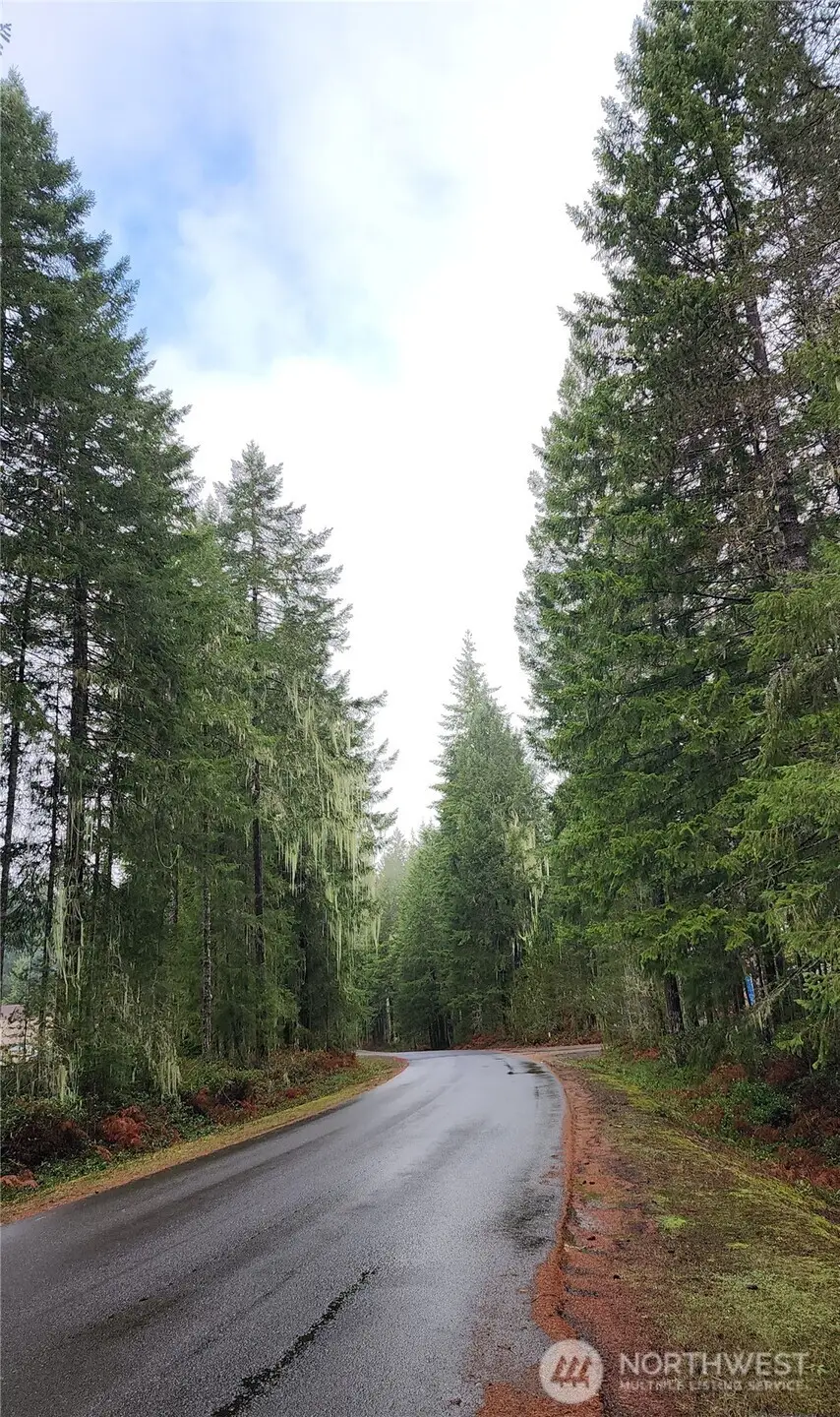 51 N Cod Place, Hoodsport, WA 98548 - Image #3