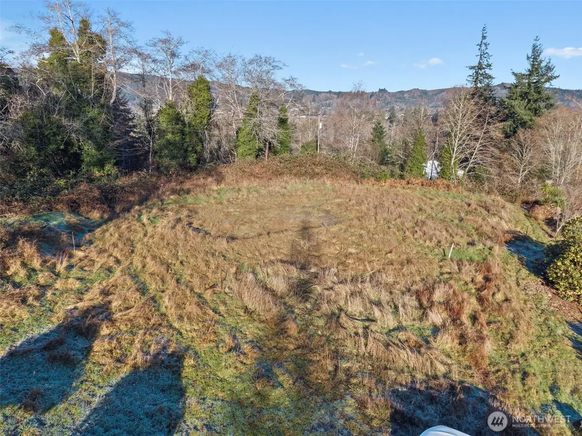 0 Pacific Avenue, Raymond, WA 98577 - Image #1