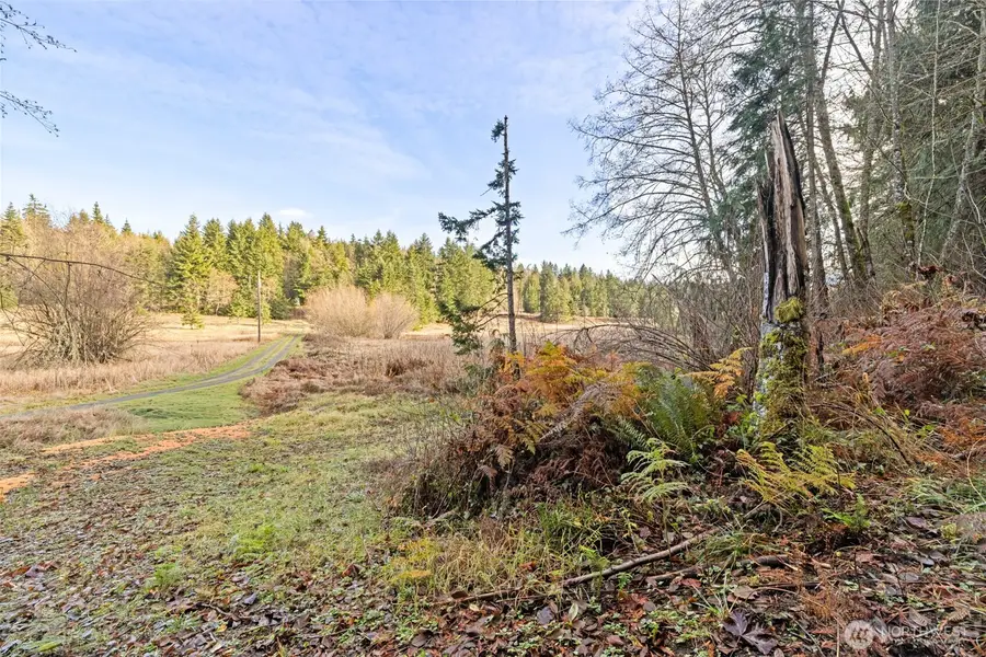 0 Lost Mountain Road, Sequim, WA 98382 - Image #3