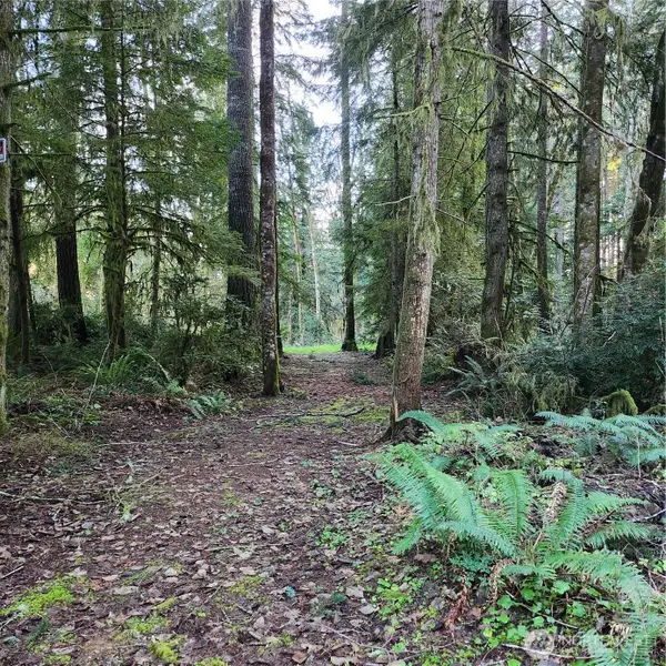 17616 30th Street Nw, Lakebay, WA 98349