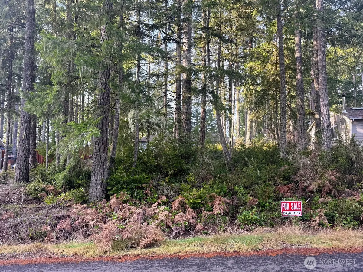 40 E Paint Brush Lane, Union, WA 98592 - Image #1