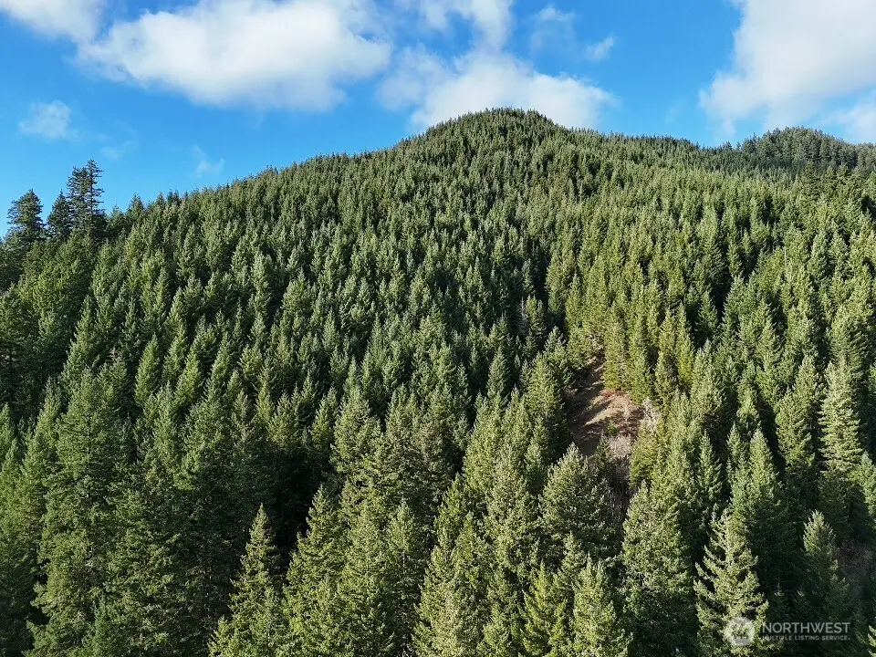 1951 Bear Creek Road, Carson, WA 98610 - Image #1