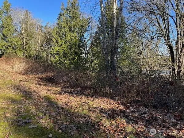 57 188th Avenue Ne, Redmond, WA 98053