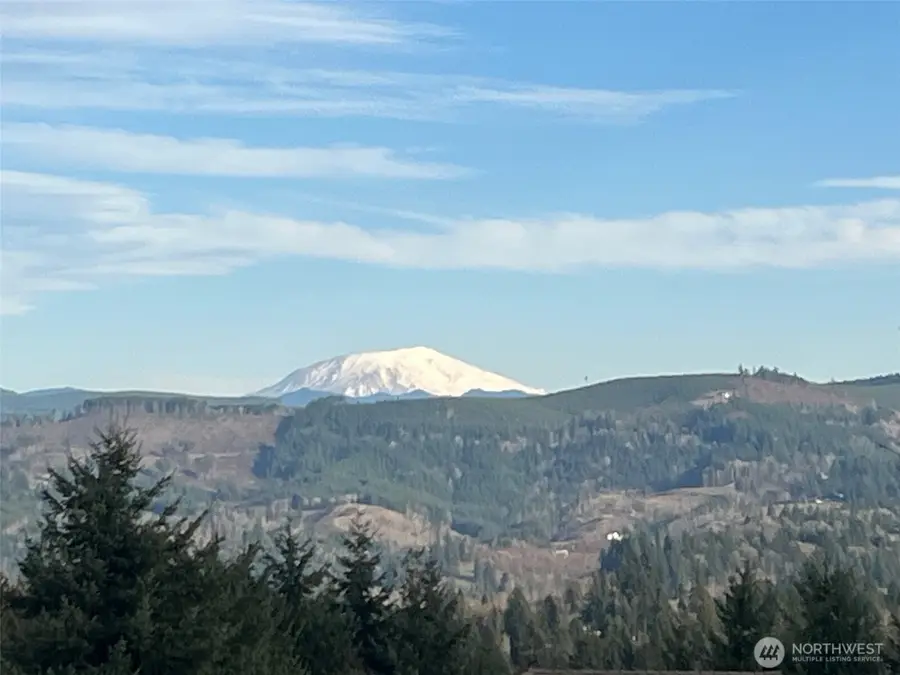 275 Livingston Heights Drive, Longview, WA 98632 - #2