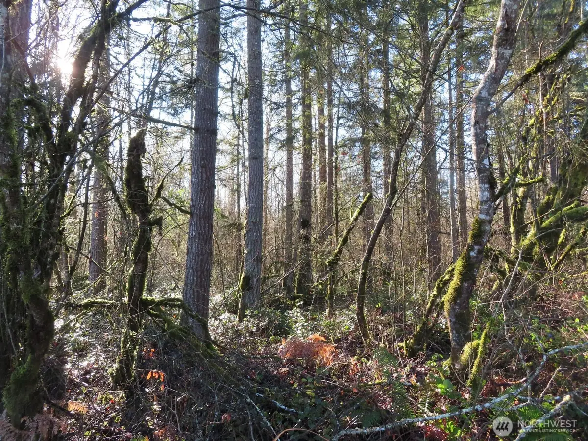 115 Campground Lane, Winlock, WA 98596 - Image #1