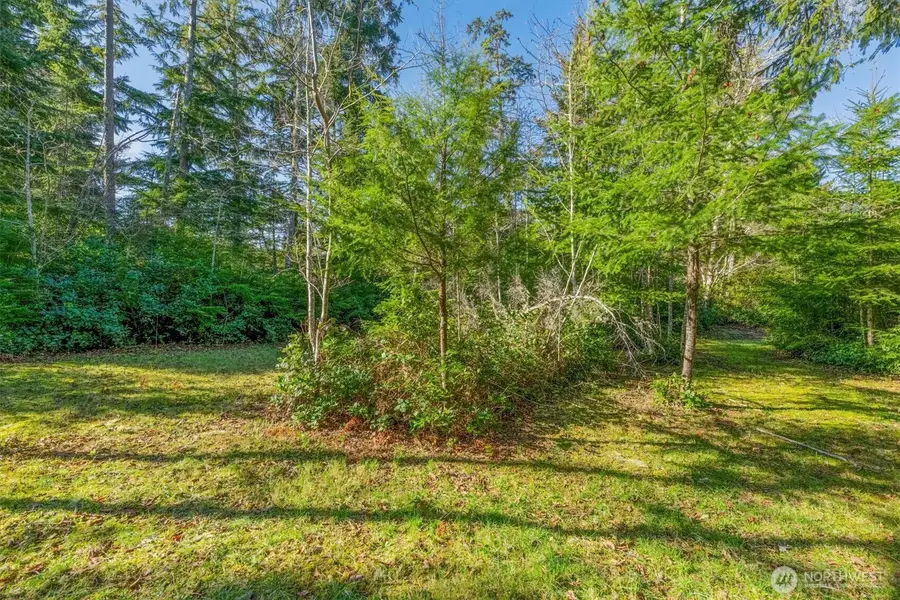 21333 Birch Place #3, Ocean Park, WA 98640 - #3