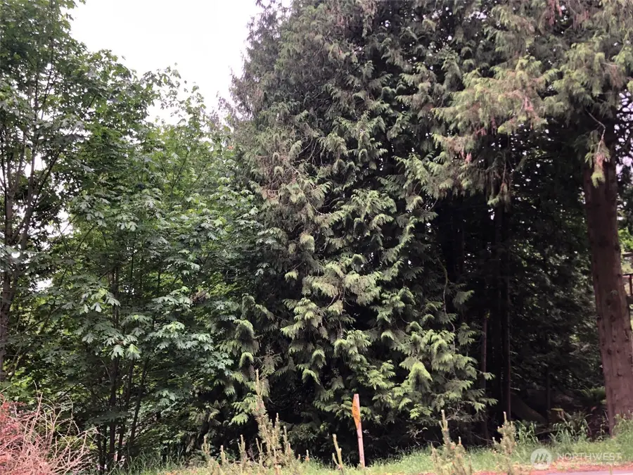 108 Grand View Lane #24, Bellingham, WA 98229 - Image #3