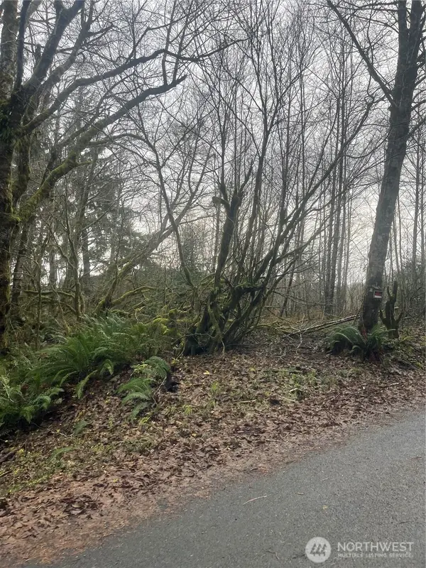 0 Ward Creek Road #024, Raymond, WA 98577