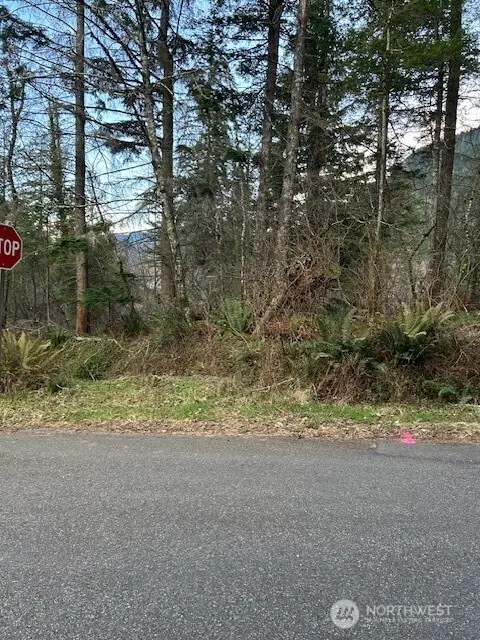 0 SE 166th Street, North Bend, WA 98045 - Image #1