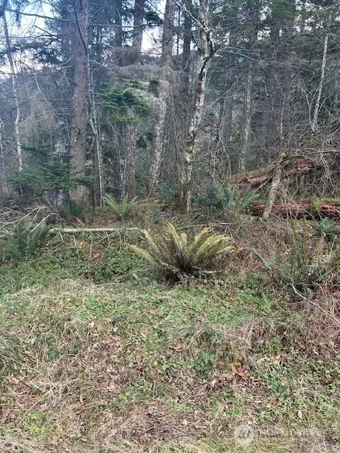 0 SE 166th Street, North Bend, WA 98045 - Image #2